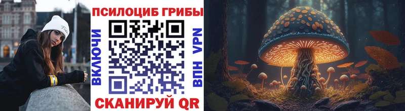 Купить закладки  Старица  Псилоцибиновые грибы Magic Shrooms 