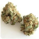 Шишки "White Widow"  (Белая вдова)  Гидропоника -  Бошка VHQ в Старице